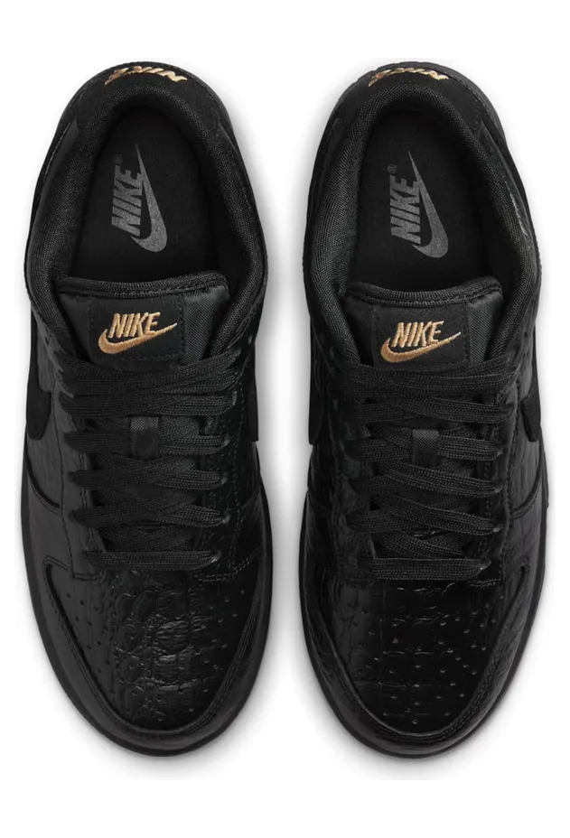 nike-dunk HV4388-001