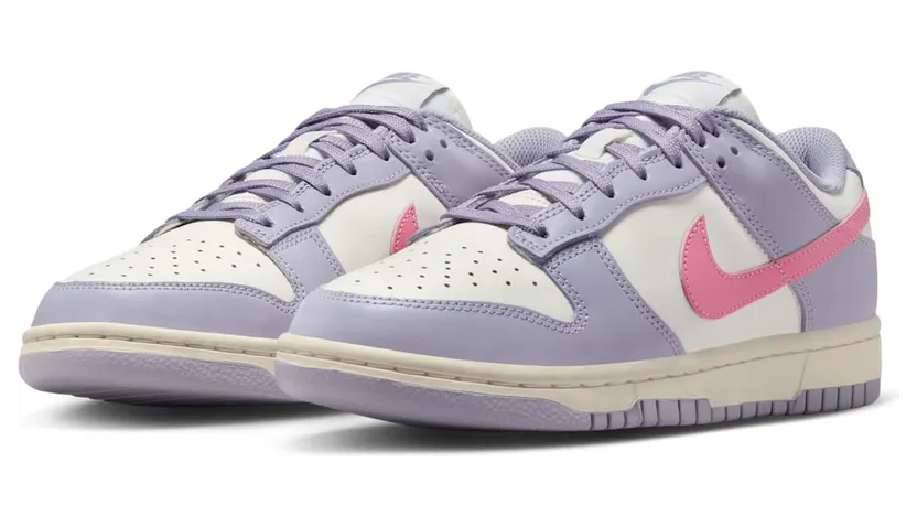 nike-dunk DD1503-500