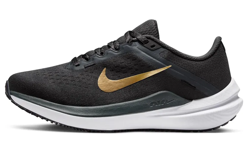 Nike Air Winflo 10 DV4023-005