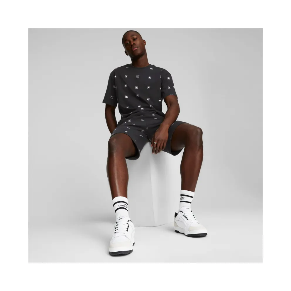 Puma Slipstream Lo Retro White/Grey (384692-05)