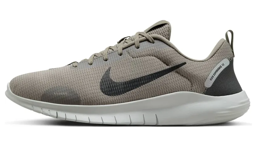 Nike Flex Experience Run 12 Light Army Light Silver Vintage Green (DV0740-300)