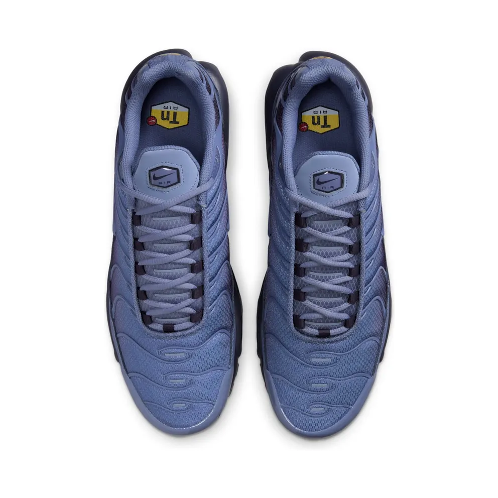 Nike Air Max Plus “World Indigo” (DM0032-404)