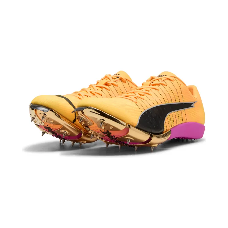 puma-evospeed 311865_02