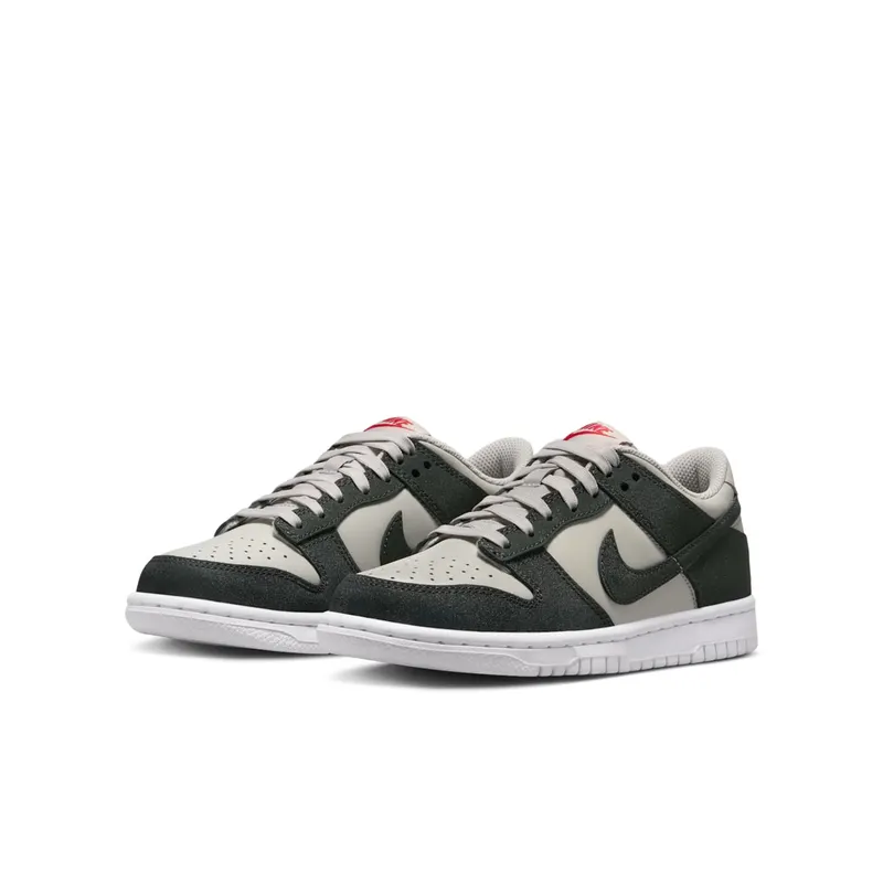 Nike Dunk Low GS “Anthracite” (FZ1000-001)