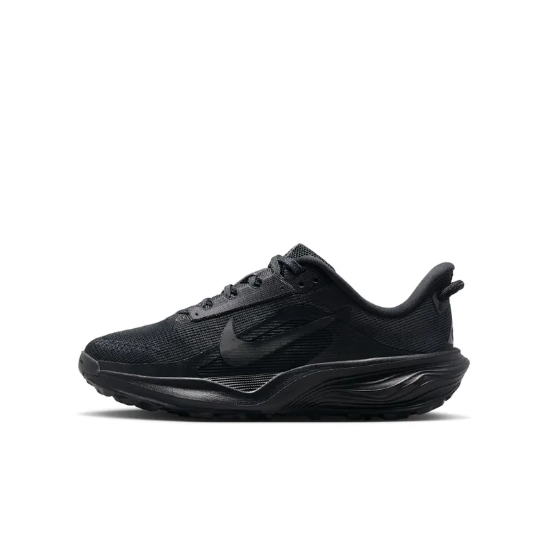 Nike Pegasus Trail 4 Black/Anthracite/Black (IH2305-003)