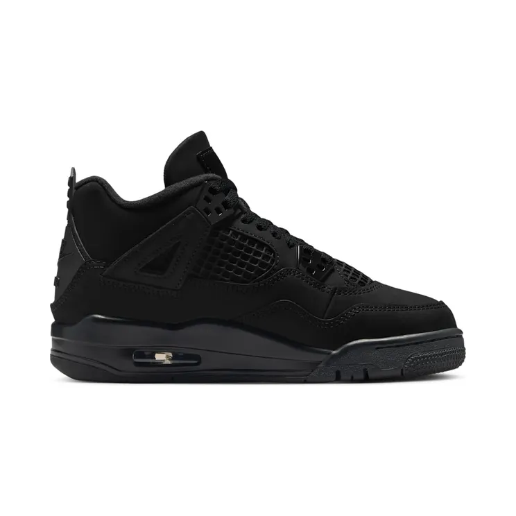air-jordan-4 IB4171-010