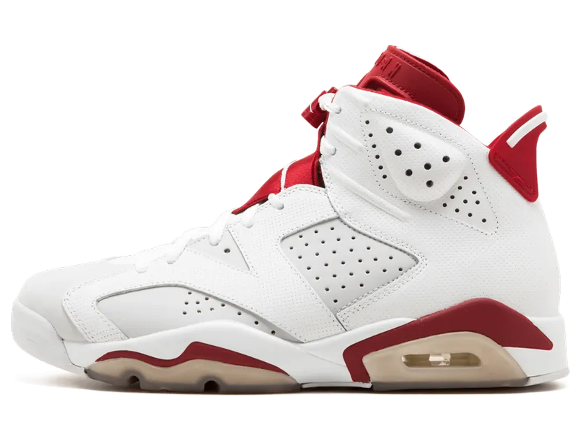Air Jordan 6 Retro Alternate (384664-113)