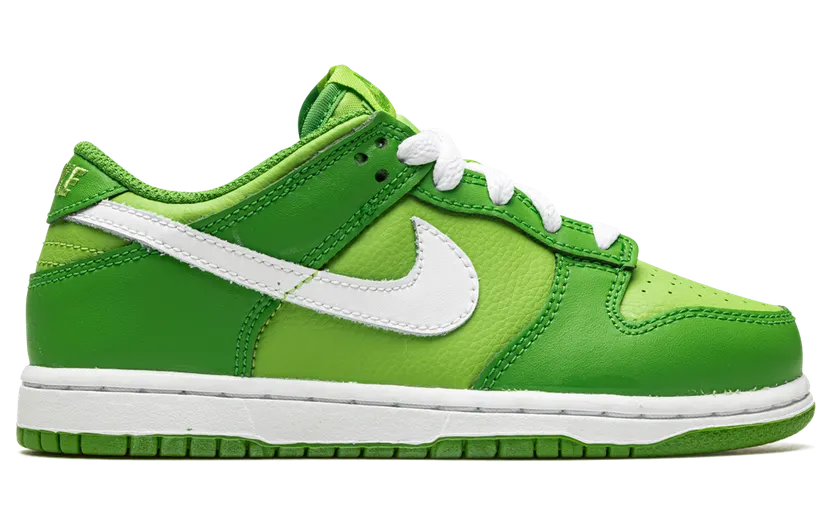 nike-dunk DH9756-301