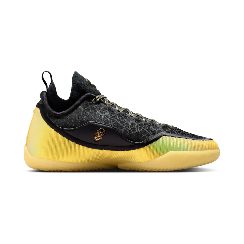 Nike LeBron 23 Elite “Hurt Feelings Write History” (IB9557-002)