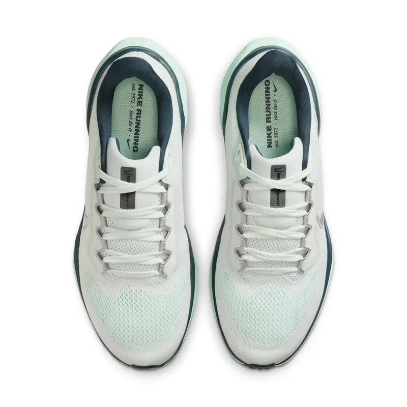Nike Pegasus 41 Blue (FD2723-405)