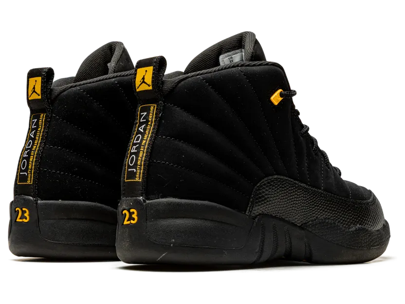 air-jordan-12 151186-071