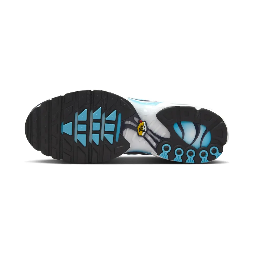 Nike Air Max Plus “Dark Obsidian” (IH4460-400)