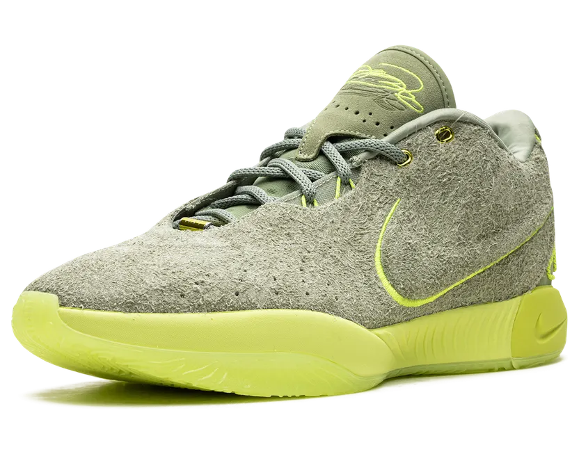 nike-lebron FV2345-302