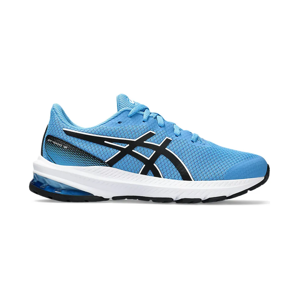 Asics Gt-1000 12 Gs Waterscape/Black (1014A296.404)
