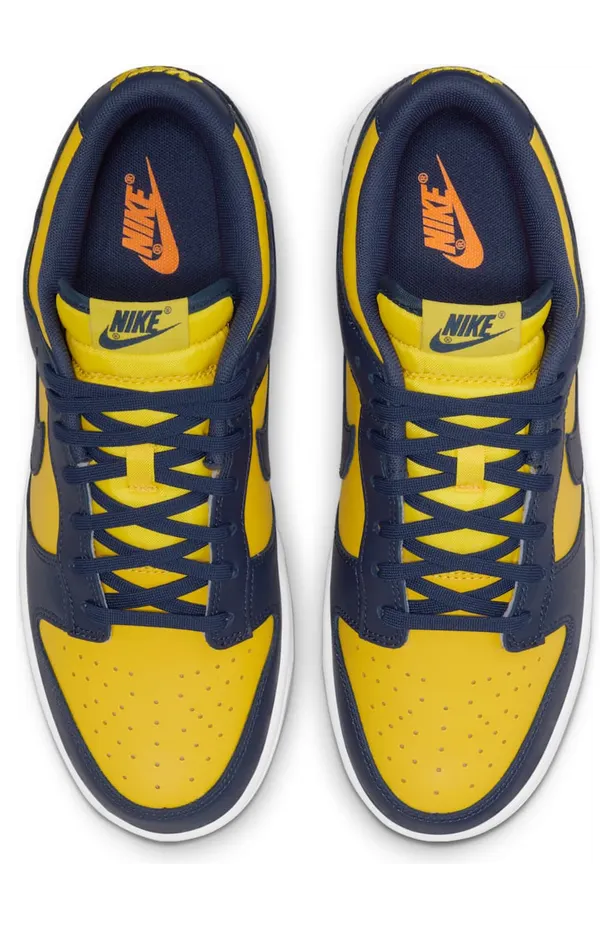 nike-dunk DD1391-700