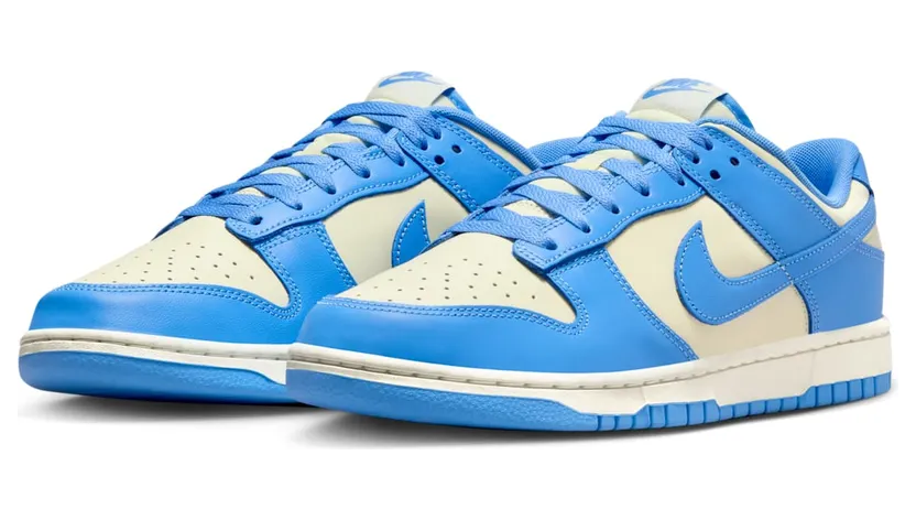 nike-dunk DV0833-113