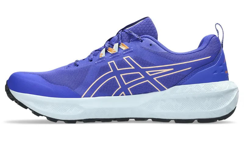 Asics Gel-Sonoma Blue (1011B979-401)