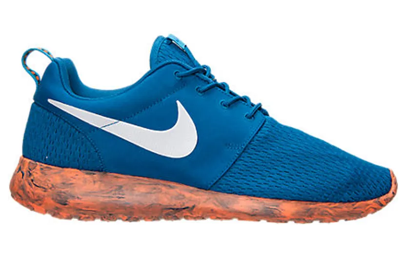 nike-roshe 669985-400
