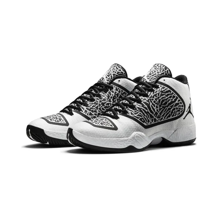 air-jordan-29 695515-070