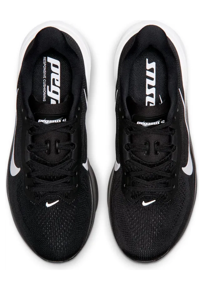 nike-air-pegasus IH1847-001