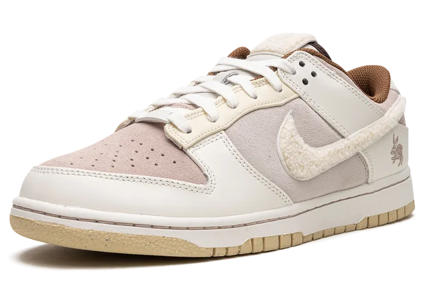 nike-dunk FD4203-211