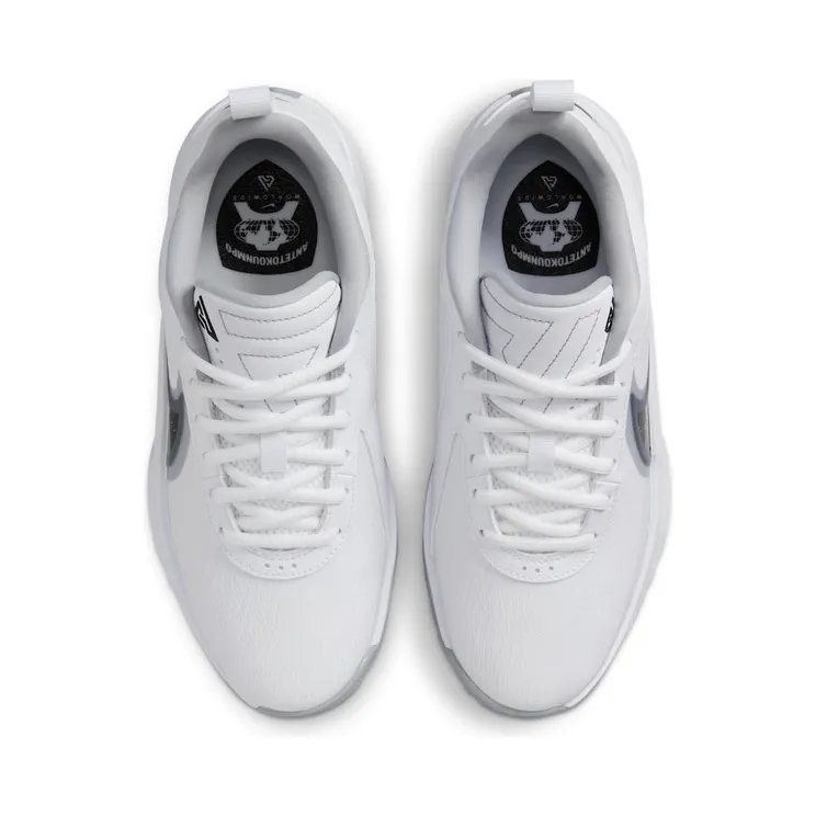 nike-zoom FQ7378-101