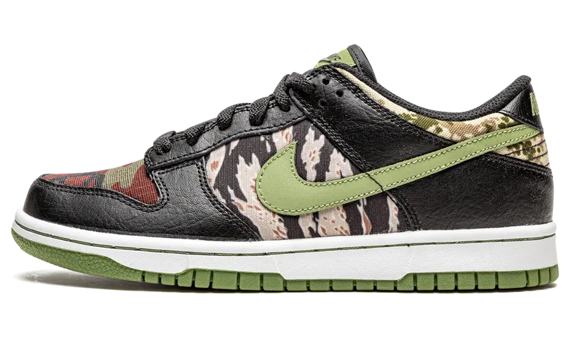 Nike Dunk Low Crazy Camo (GS) (DB1909-001)