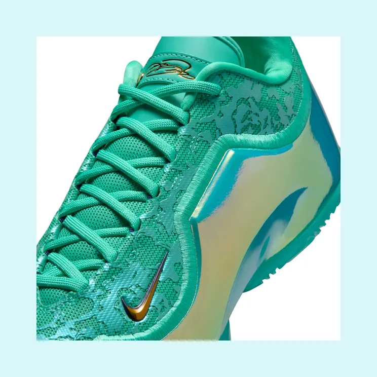 nike-lebron IH1513-300