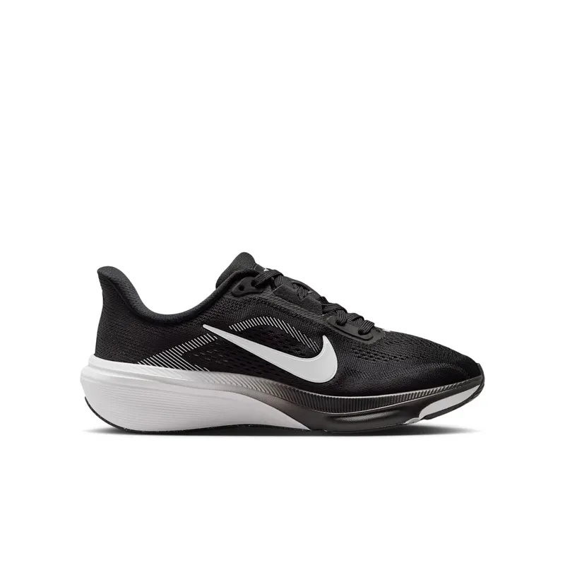 Nike Pegasus Black/Photon Dust/White (IH2306-002)