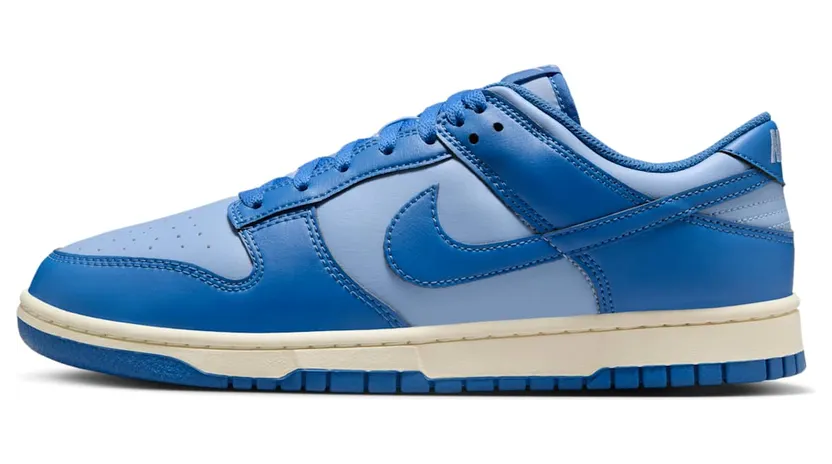 Nike Dunk Low HF5441-400