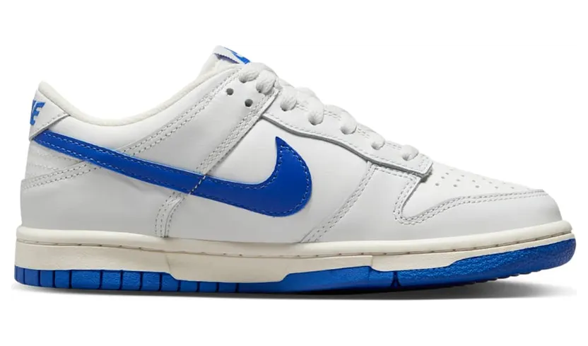 nike-dunk DH9765-105