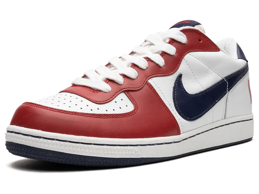 nike-terminator 309436-142