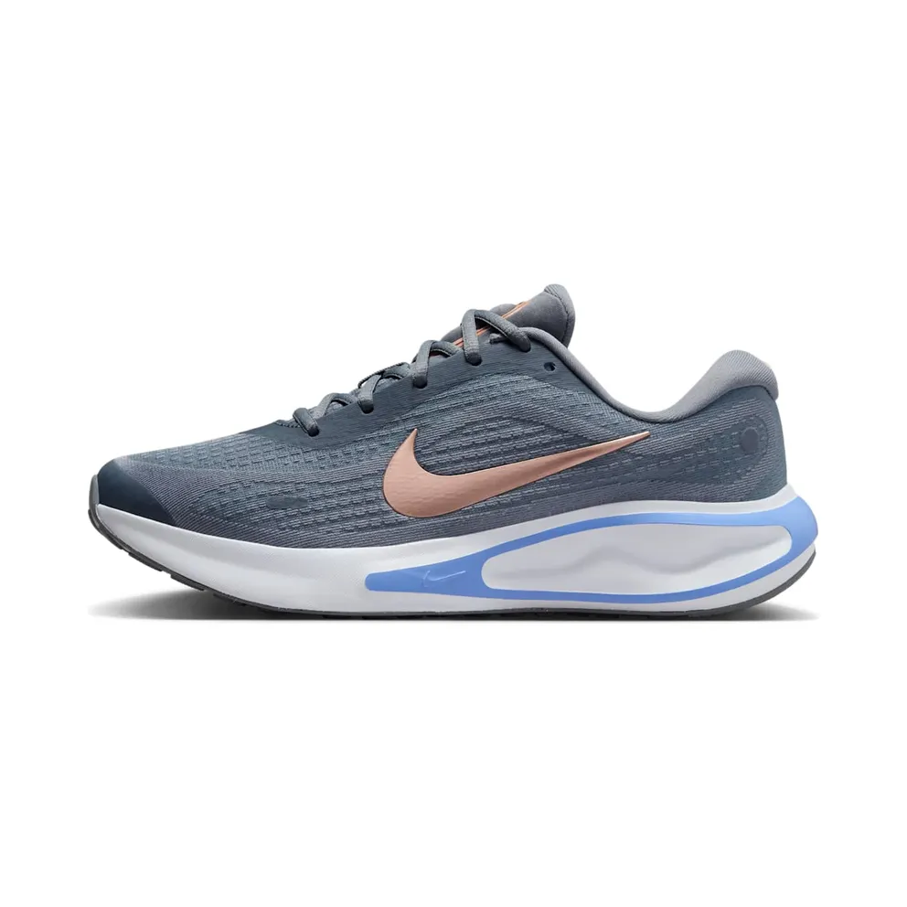 Nike Journey Run Cool Grey White Royal Pulse Metallic Red Bronze (FJ7765-004)