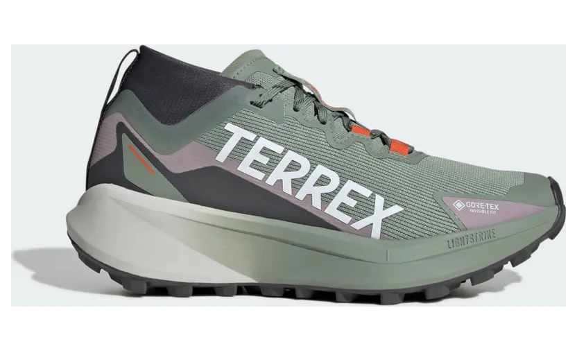 Adidas Terrex Agravic GTX Trail Running Silver Green / Cloud White / Preloved Fig (JP7253)