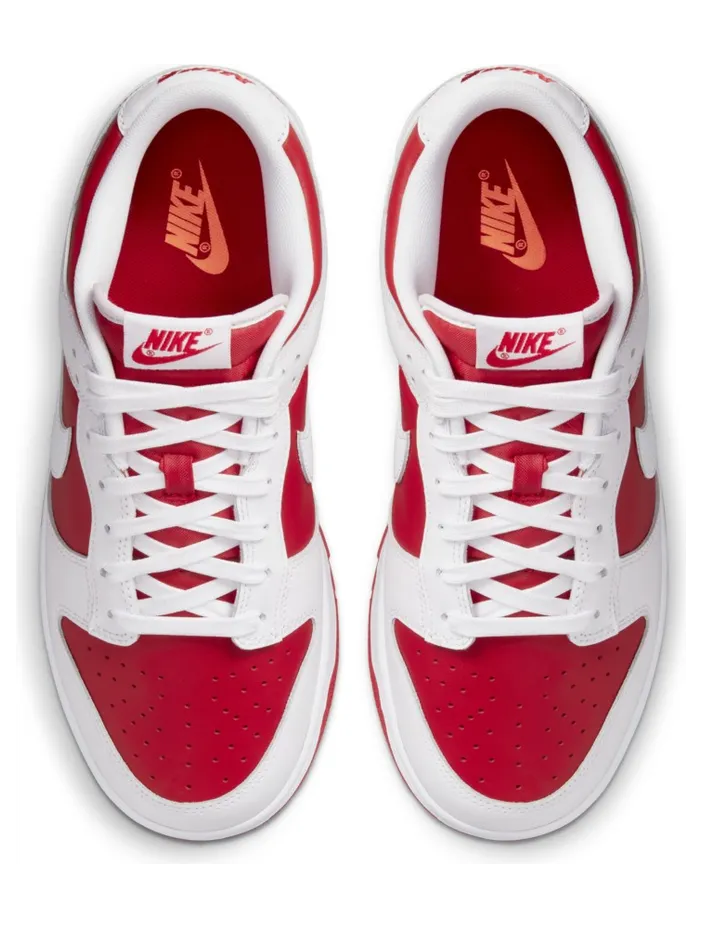 nike-dunk DD1391-600