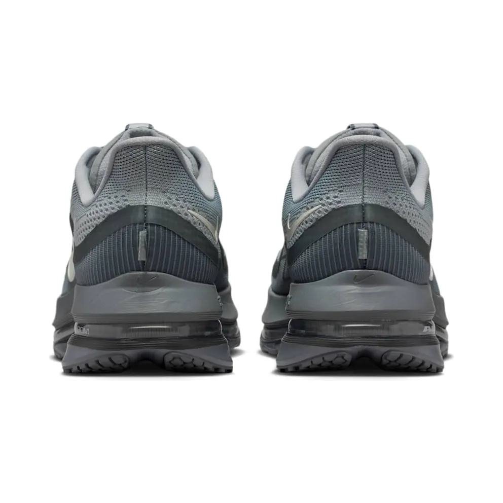 Nike Pegasus Premium Wolf Grey/Cool Grey/Anthracite (HQ2592-013)
