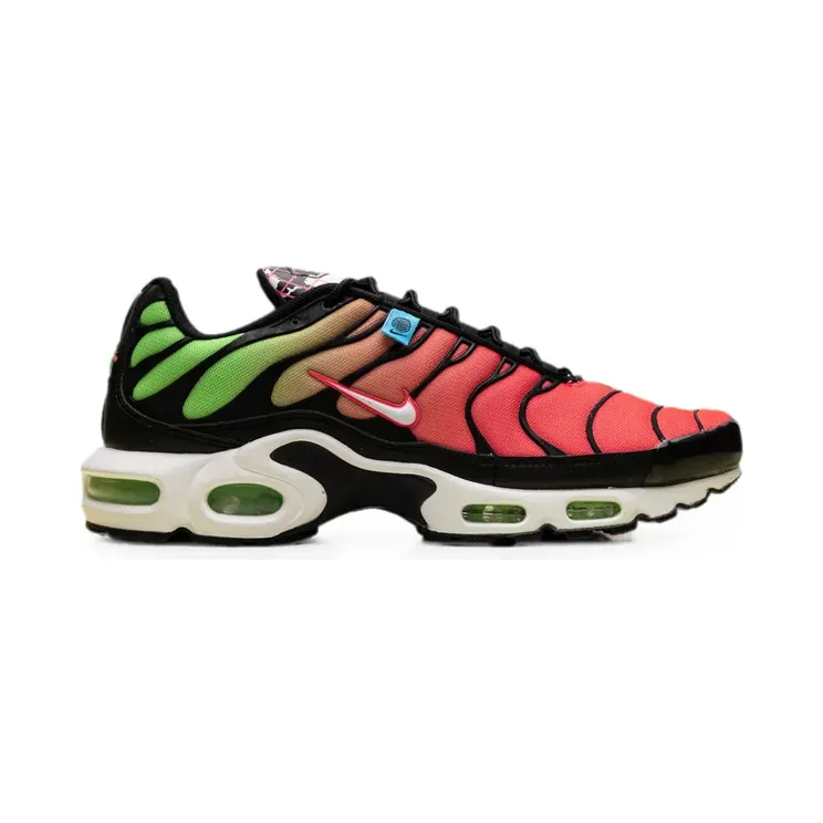 Nike Air Max Plus WW “Black” (CK7291)
