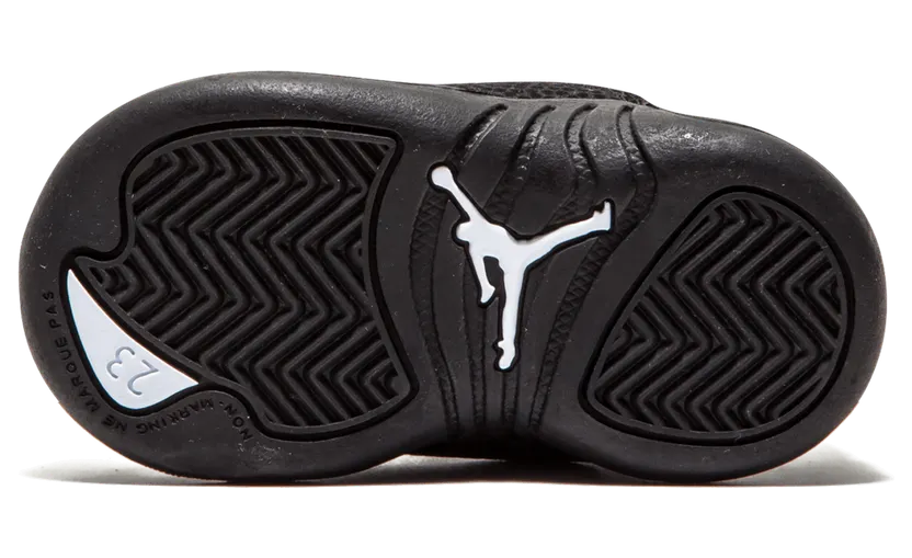 air-jordan-12 850000-013