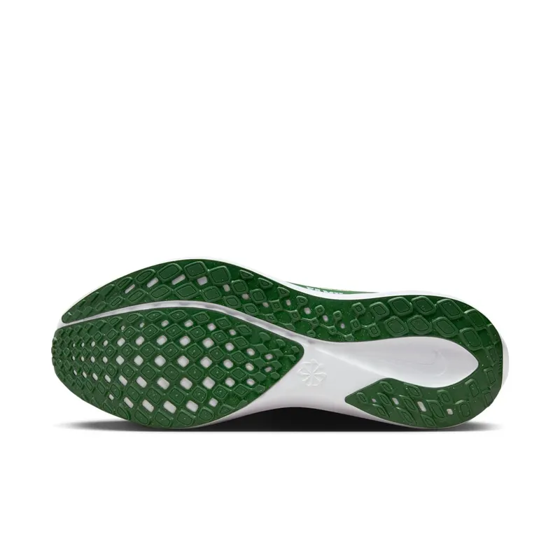 Nike Air Zoom Pegasus 41 FAMU (FZ5112-300)