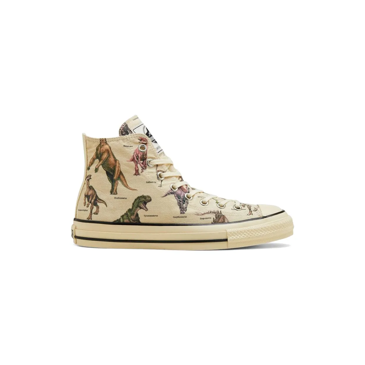 converse-chuck-taylor-all-star 31315570