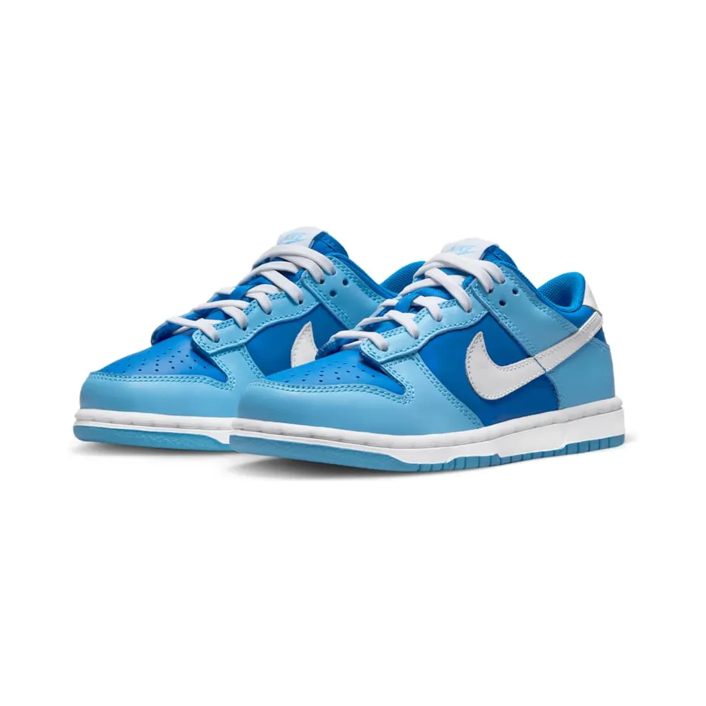 Nike Dunk Low Argon (2022) (DV2635-400)