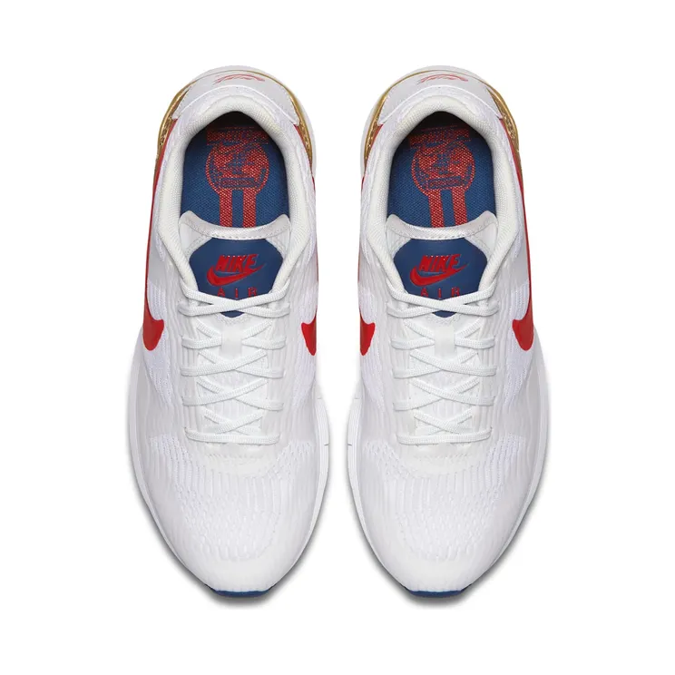 nike-air-pegasus 845012-101