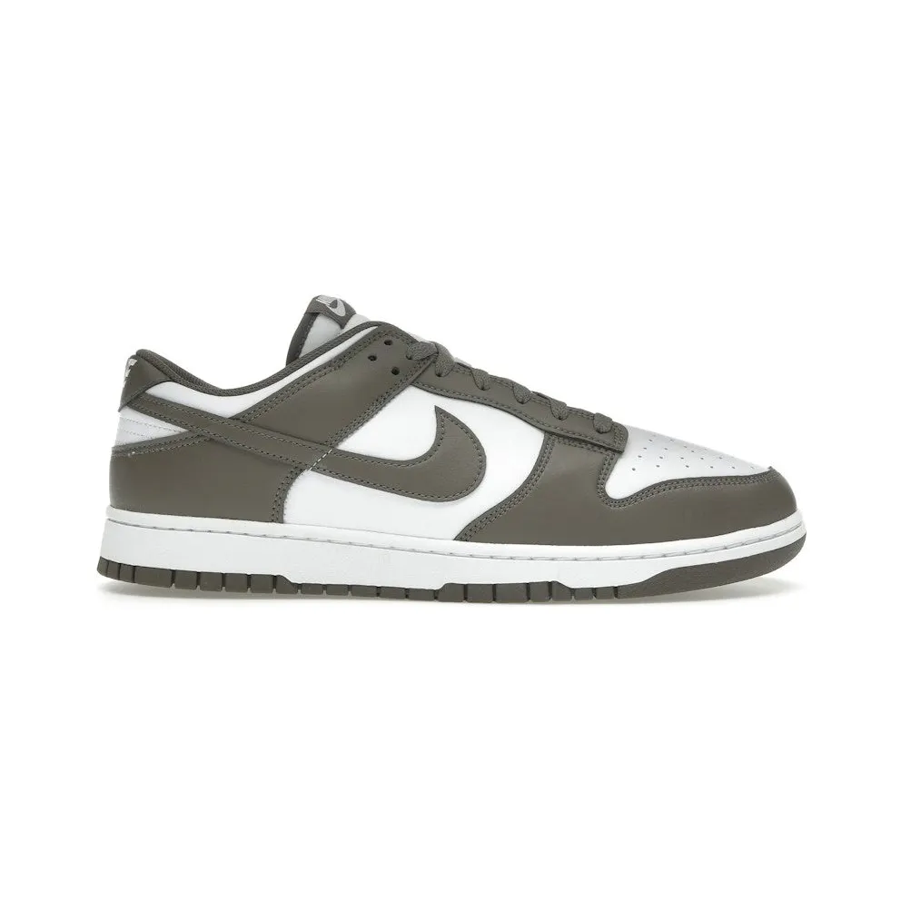 Nike Dunk Low Cave Stone (HF5441-111)