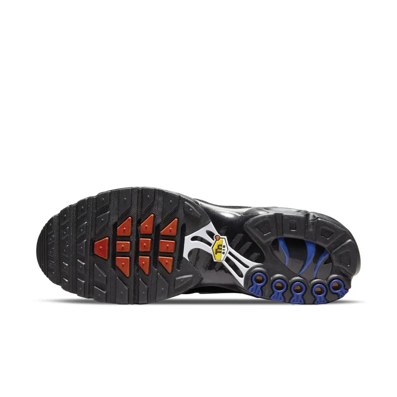 Nike TN Air Max Plus France (DV3194-001)