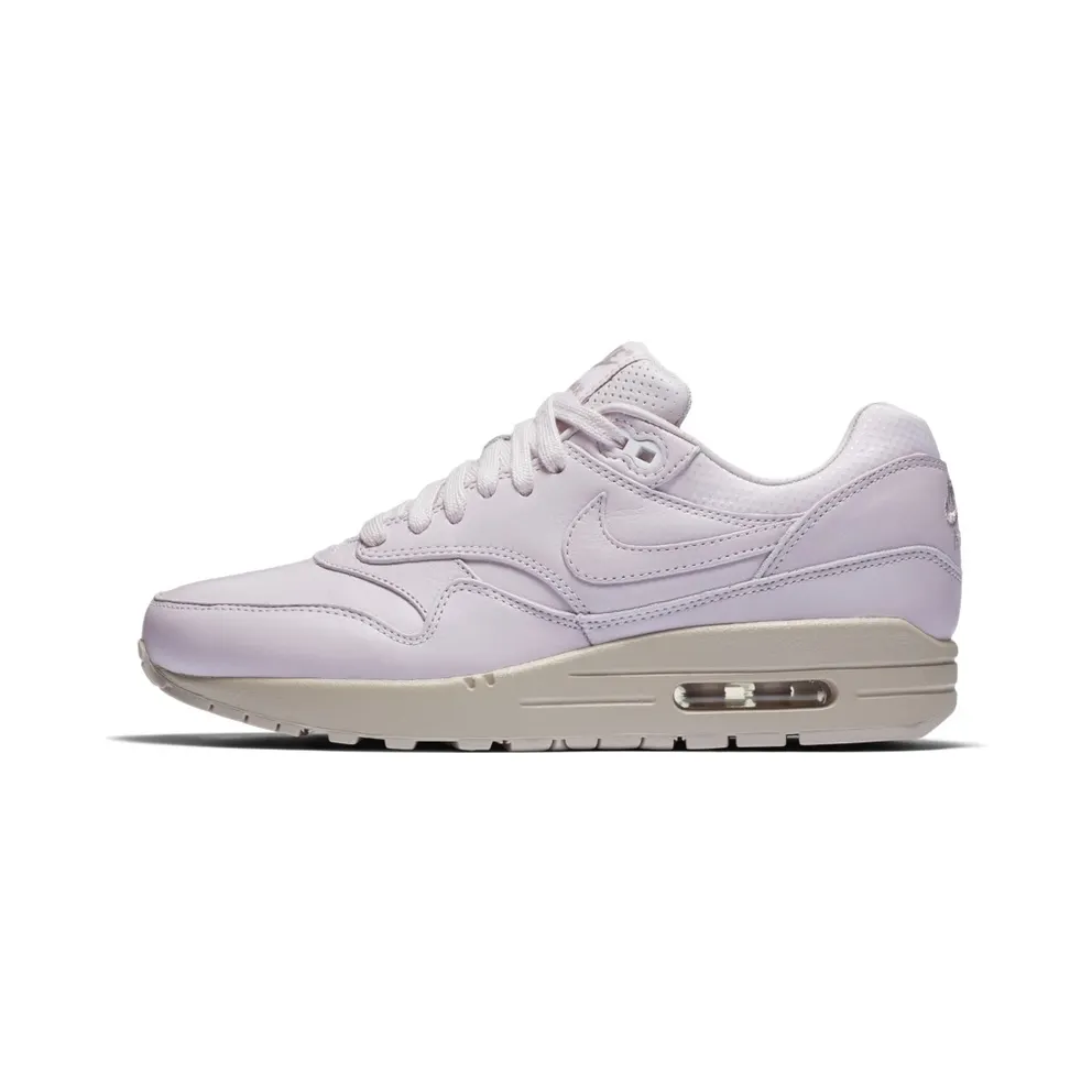 Nike Air Max 1 Pinnacle Venice Violet Ash (W) (839608-500)