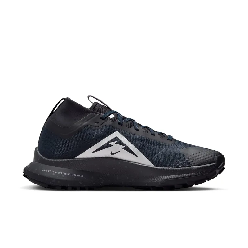Nike Pegasus Trail 4 Gore-Tex Dark Obsidian Metallic Silver (FZ4343-400)