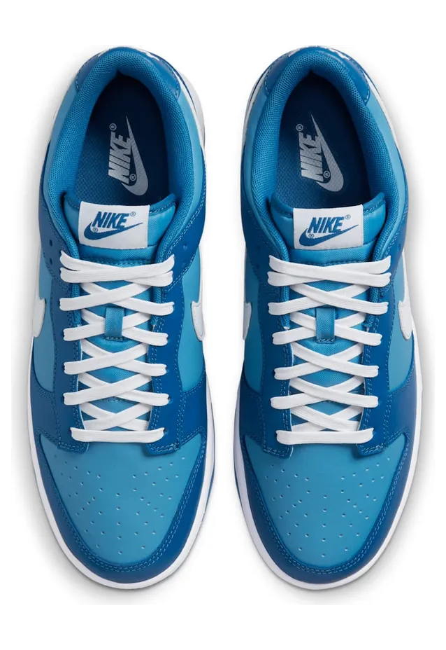 nike-dunk DJ6188-400