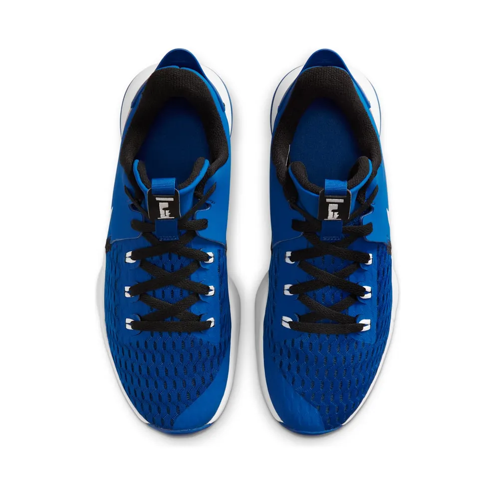 LeBron Witness 5 Blue (CQ9380-400)