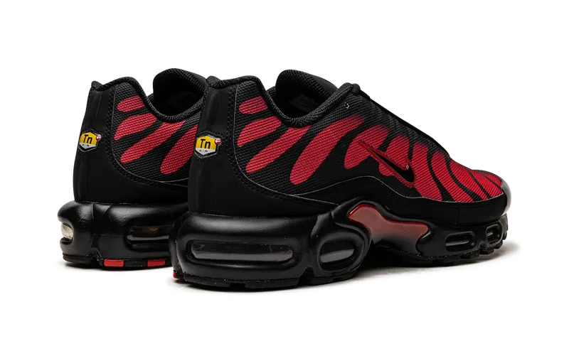 Nike Air Max Plus Red (DZ4507-600)