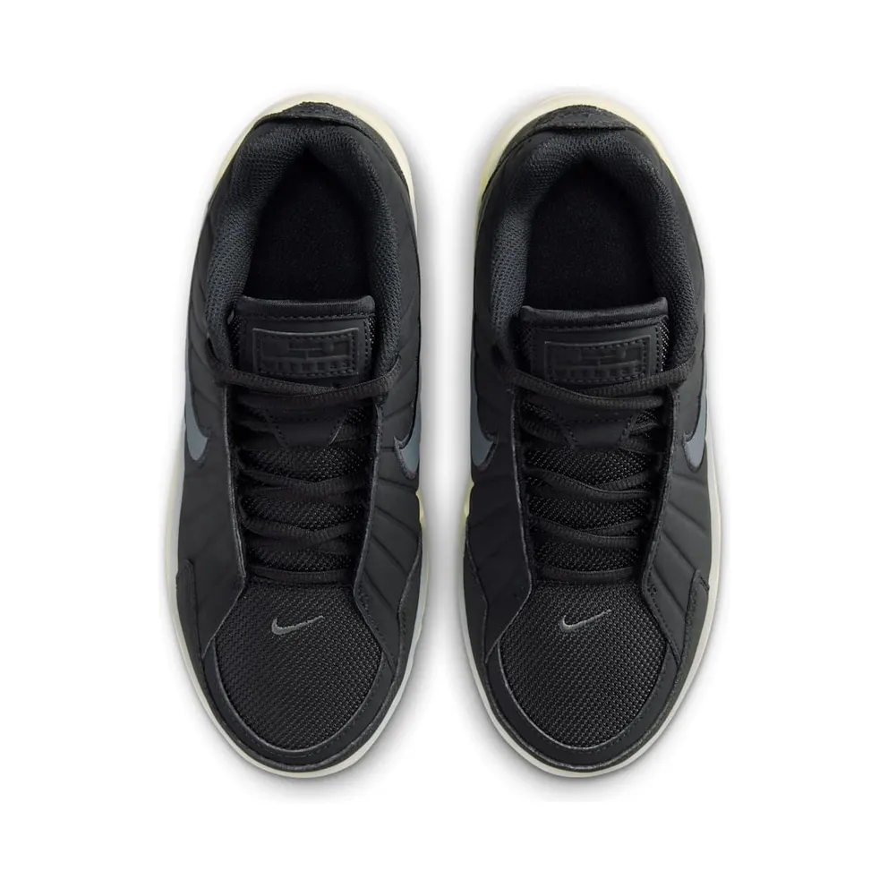 Nike LeBron Witness 9 Black Coconut Milk Iron Grey (HV2270-001)
